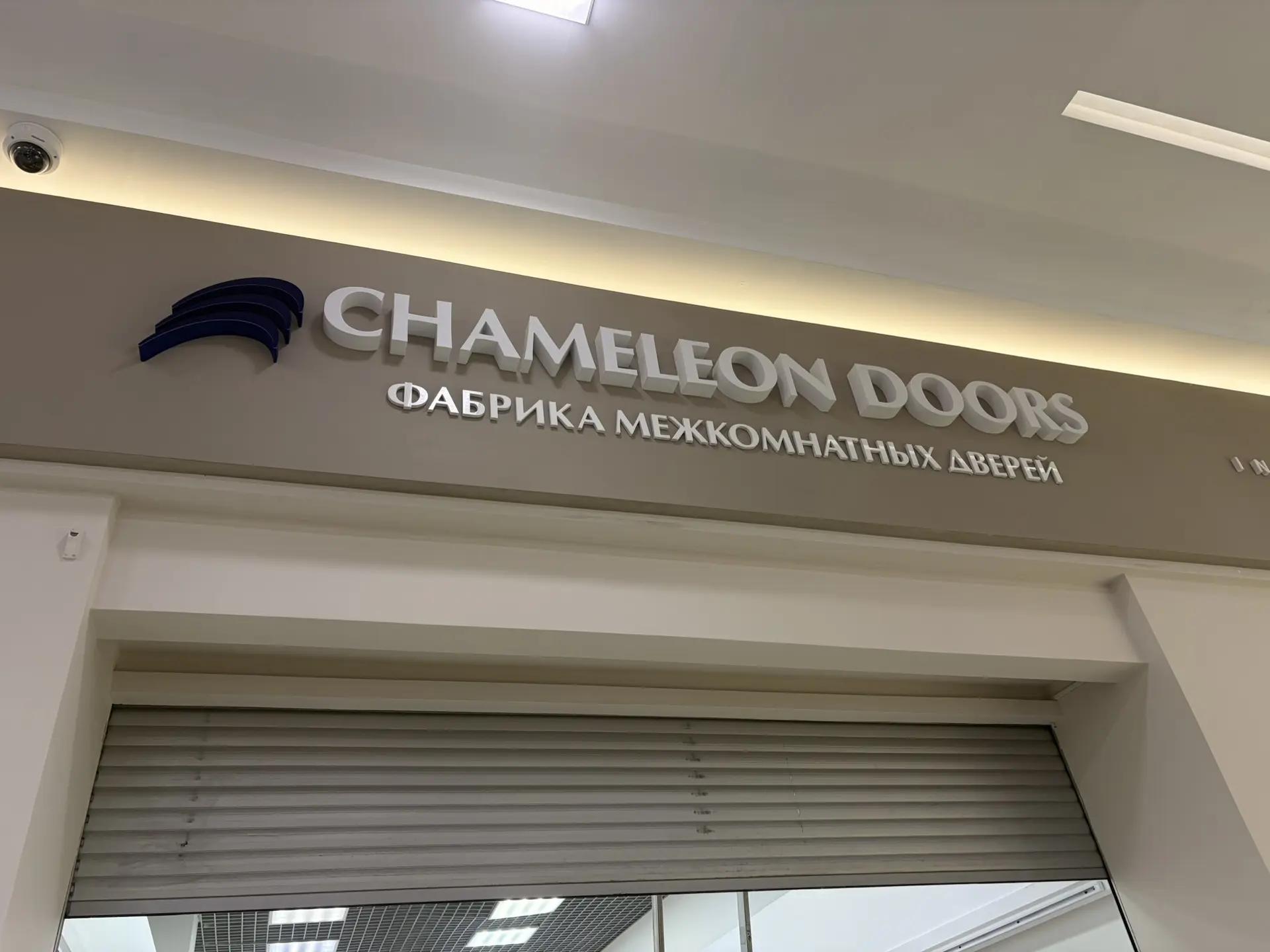 CHAMELEON DOORS
